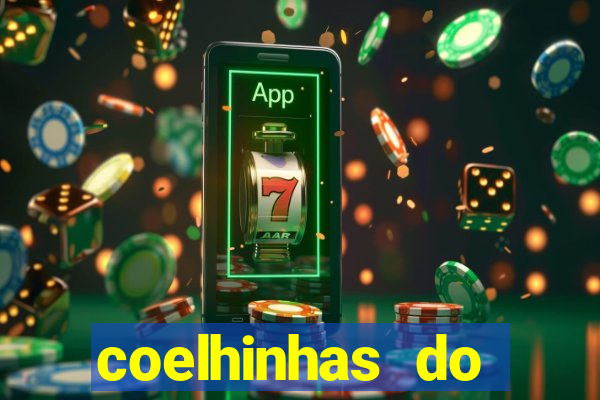 coelhinhas do brasil site